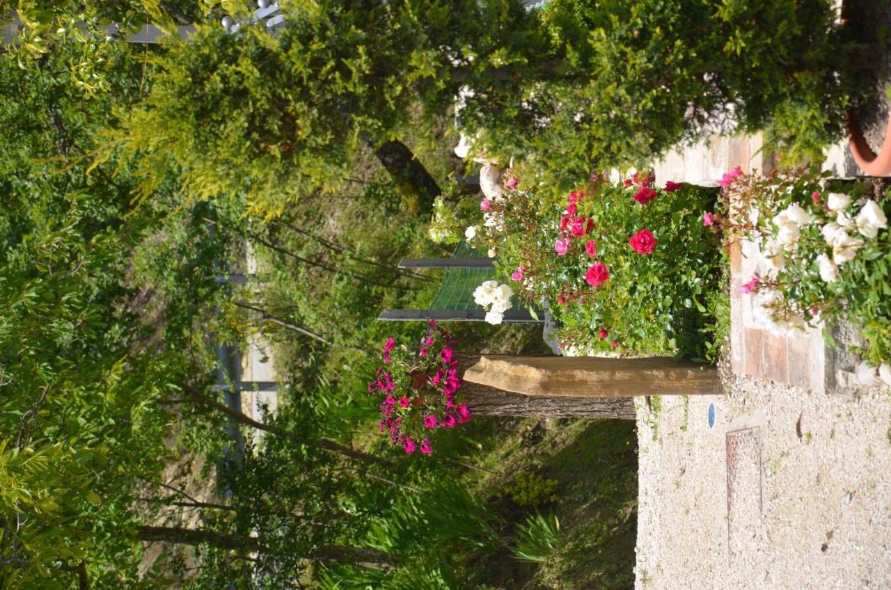 B&B La Terrazza Del Subasio Assisi Exterior foto