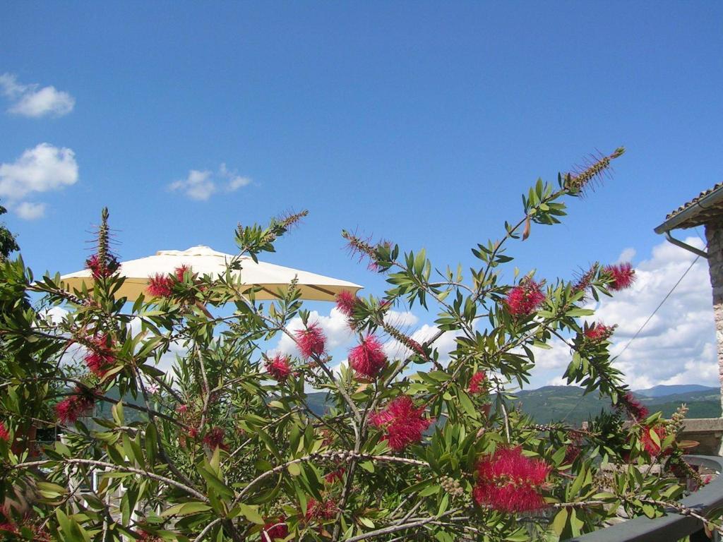 B&B La Terrazza Del Subasio Assisi Quarto foto