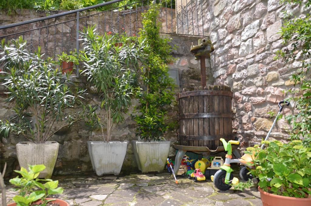 B&B La Terrazza Del Subasio Assisi Exterior foto